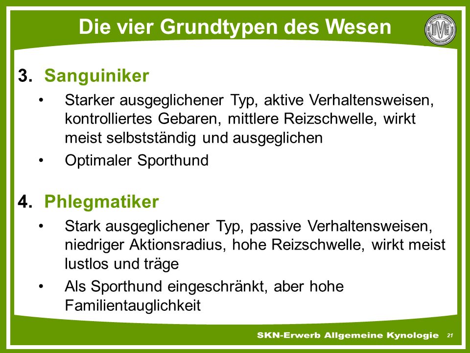 Die vier Grundtypen des Wesen