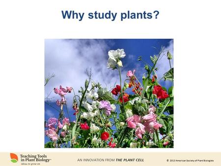 Why study plants?.
