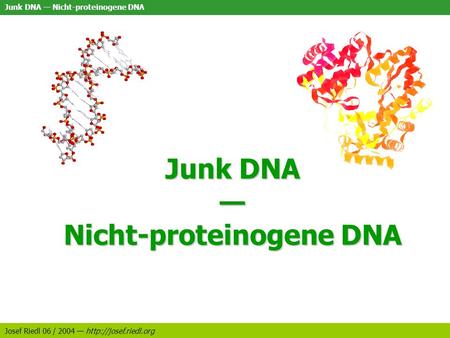 Junk DNA — Nicht-proteinogene DNA