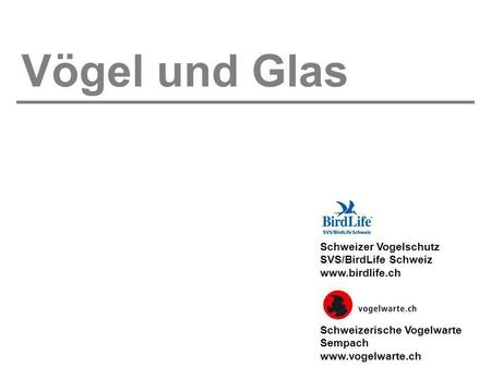 Vögel und Glas Schweizer Vogelschutz SVS/BirdLife Schweiz