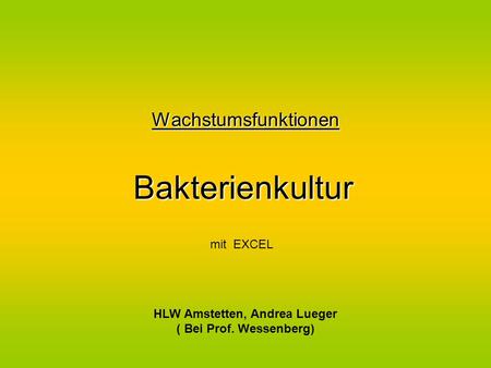 HLW Amstetten, Andrea Lueger ( Bei Prof. Wessenberg)