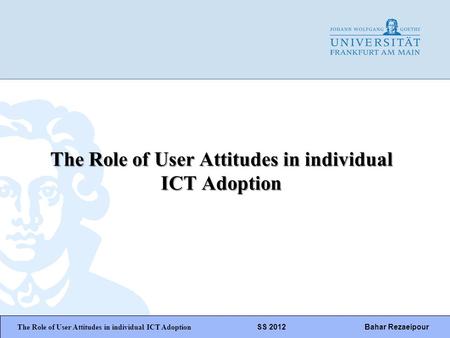 The Role of User Attitudes in individual ICT Adoption