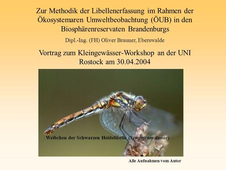 Vortrag zum Kleingewässer-Workshop an der UNI Rostock am