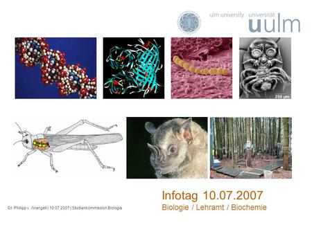 Infotag 10.07.2007 Biologie / Lehramt / Biochemie Dr. Philipp v. Wrangell | 10.07.2007 | Studienkommission Biologie.