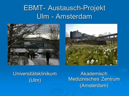 EBMT- Austausch-Projekt Ulm - Amsterdam