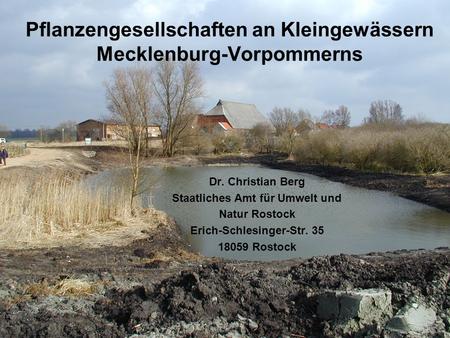 Pflanzengesellschaften an Kleingewässern Mecklenburg-Vorpommerns