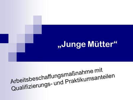 „Junge Mütter“ Arbeitsbeschaffungsmaßnahme mit Qualifizierungs- und Praktikumsanteilen.