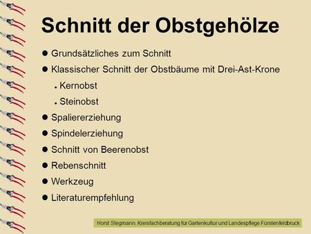 Aufbau der Präsentation