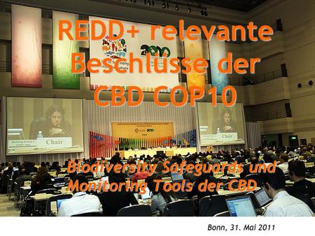 REDD+ relevante Beschlüsse der CBD COP10 Biodiversity Safeguards und Monitoring Tools der CBD Bonn, 31. Mai 2011.
