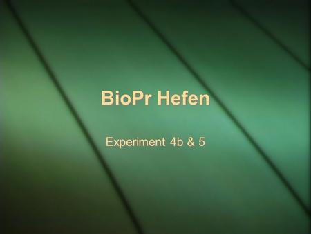 BioPr Hefen Experiment 4b & 5.