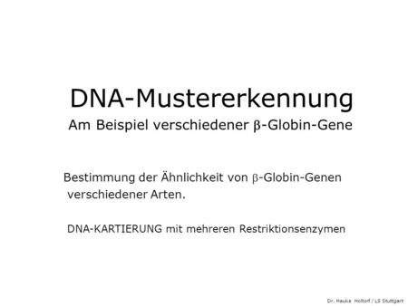 DNA-Mustererkennung Am Beispiel verschiedener b-Globin-Gene
