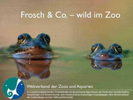 Frosch & Co. – wild im Zoo Weltverband der Zoos und Aquarien