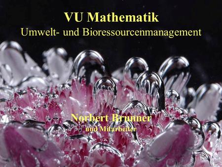 VU Mathematik Umwelt- und Bioressourcenmanagement