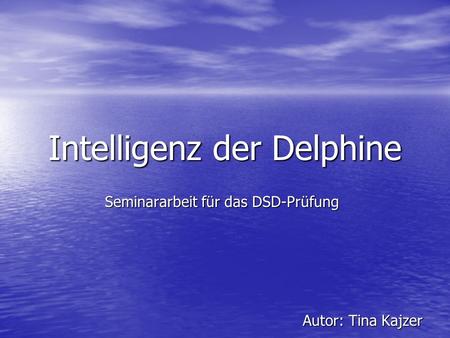 Intelligenz der Delphine