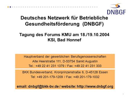 Deutsches Netzwerk für Betriebliche Gesundheitsförderung (DNBGF) Tagung des Forums KMU am 18./19.10.2004 KSI, Bad Honnef Hauptverband der gewerblichen.