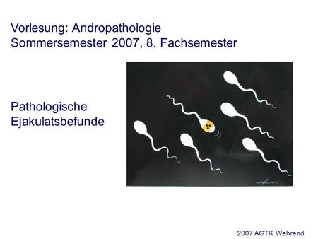 Vorlesung: Andropathologie Sommersemester 2007, 8. Fachsemester