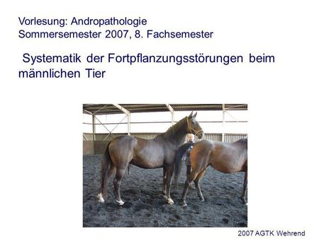 Vorlesung: Andropathologie Sommersemester 2007, 8. Fachsemester Systematik der Fortpflanzungsstörungen beim männlichen Tier 2007 AGTK Wehrend.
