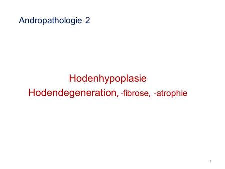 Hodenhypoplasie Hodendegeneration, -fibrose, -atrophie