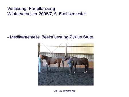 AGTK Wehrend Vorlesung: Fortpflanzung Wintersemester 2006/7, 5. Fachsemester - Medikamentelle Beeinflussung Zyklus Stute.