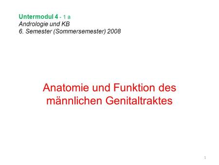 Untermodul a Andrologie und KB 6. Semester (Sommersemester) 2008