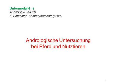 Untermodul Andrologie und KB 6. Semester (Sommersemester) 2009