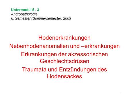 Untermodul Andropathologie 6. Semester (Sommersemester) 2009