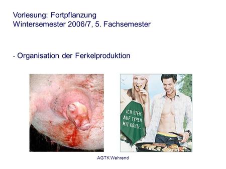 Vorlesung: Fortpflanzung Wintersemester 2006/7, 5. Fachsemester