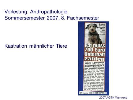 Vorlesung: Andropathologie Sommersemester 2007, 8. Fachsemester Kastration männlicher Tiere 2007 AGTK Wehrend.