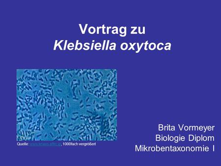 Vortrag zu Klebsiella oxytoca