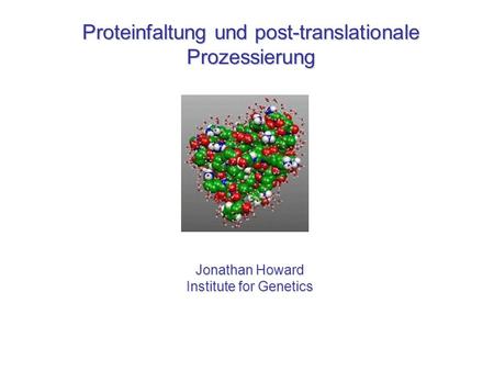 Proteinfaltung und post-translationale Prozessierung
