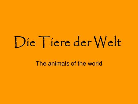 The animals of the world