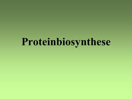 Proteinbiosynthese.