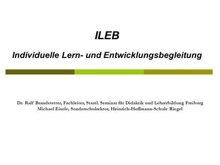 ILEB Individuelle Lern- und Entwicklungsbegleitung