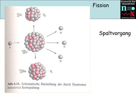Fission Spaltvorgang.