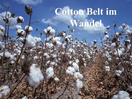 Cotton Belt im Wandel Cotton Belt im Wandel.