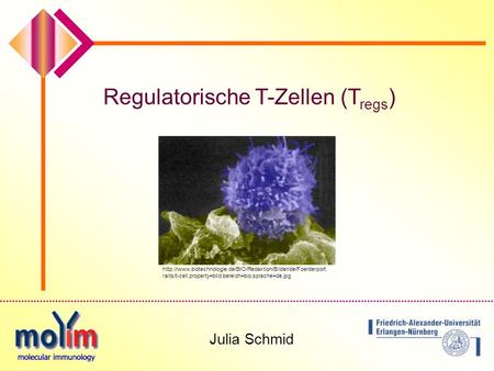 Regulatorische T-Zellen (Tregs)
