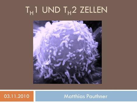 TH1 und Th2 Zellen 03.11.2010 Matthias Pauthner.