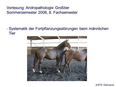 Vorlesung: Andropathologie Großtier Sommersemester 2006, 8. Fachsemester - Systematik der Fortpflanzungsstörungen beim männlichen Tier AGTK Wehrend.