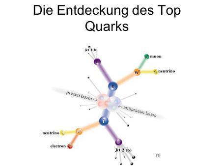 Die Entdeckung des Top Quarks