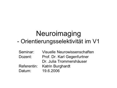 Neuroimaging - Orientierungsselektivität im V1