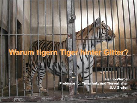 Warum tigern Tiger hinter Gitter?