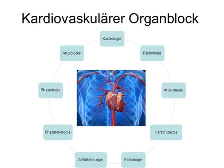 Kardiovaskulärer Organblock