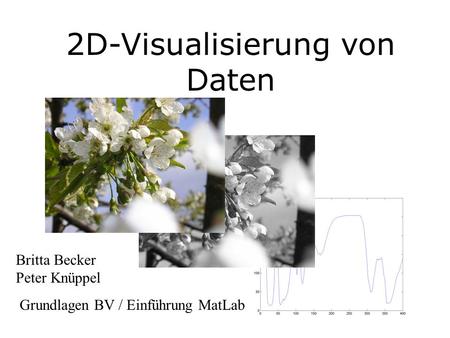 2D-Visualisierung von Daten