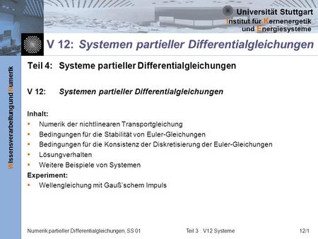V 12: Systemen partieller Differentialgleichungen