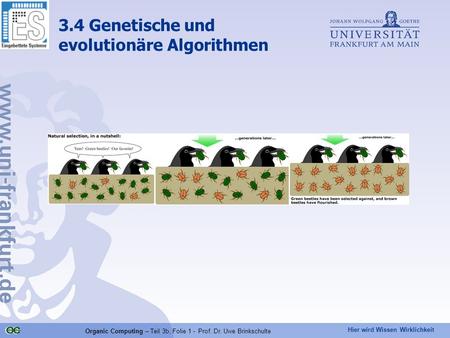 3.4 Genetische und evolutionäre Algorithmen