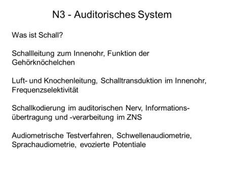 N3 - Auditorisches System