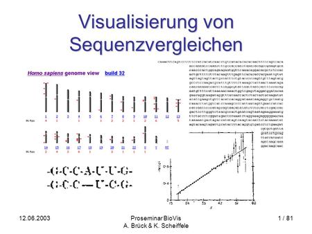 12.06.2003Proseminar BioVis A. Brück & K. Scheiffele 1 / 81 Visualisierung von Sequenzvergleichen.