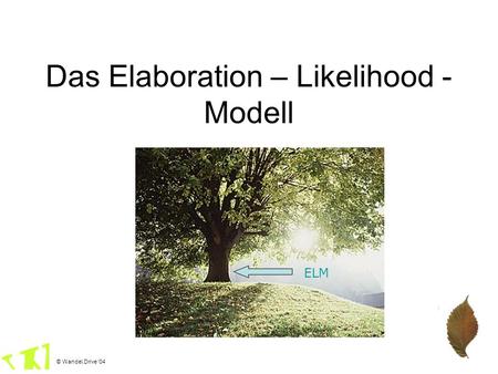 Das Elaboration – Likelihood - Modell