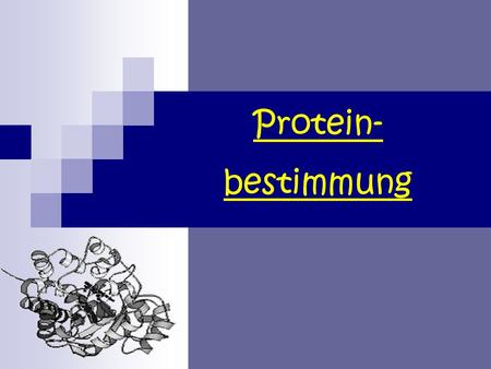 Protein- bestimmung.