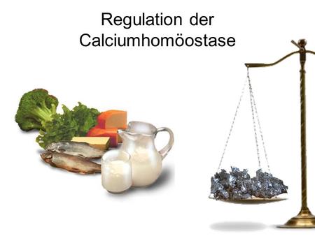 Regulation der Calciumhomöostase